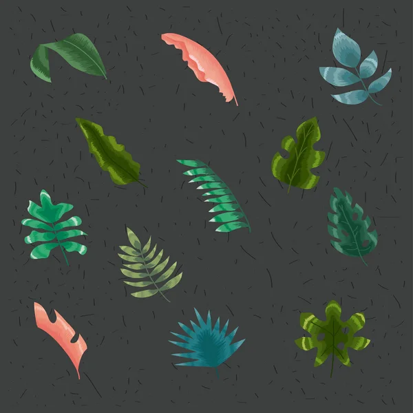 Dwanaście ikon liści tropikalnych — Wektor stockowy