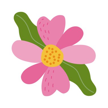 pembe çiçek ve yapraklar