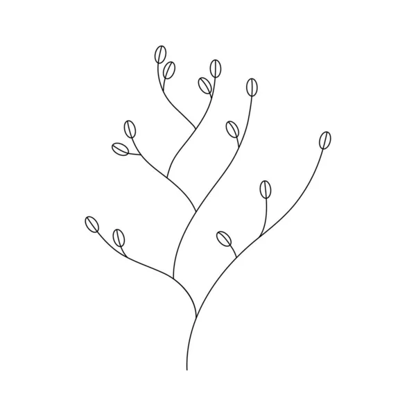 Laurel branch with seeds — Stock Vector