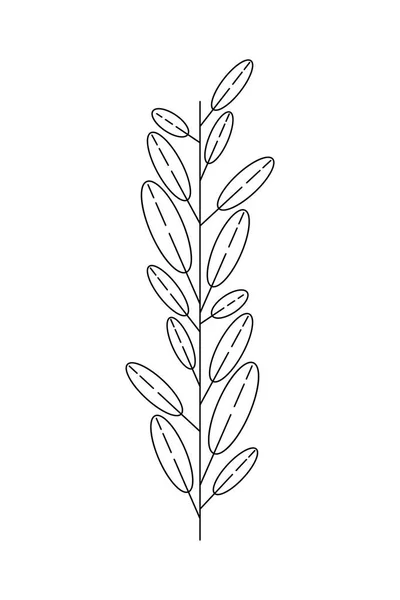 葉のある分枝 — ストックベクタ