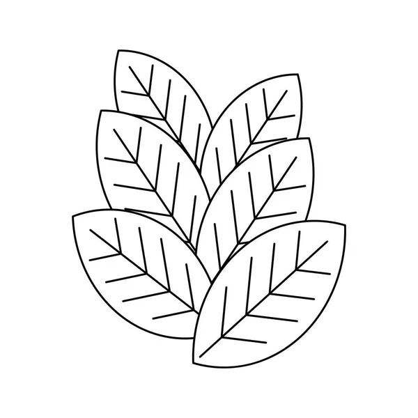 Φύλλα φυλλώματος — Διανυσματικό Αρχείο