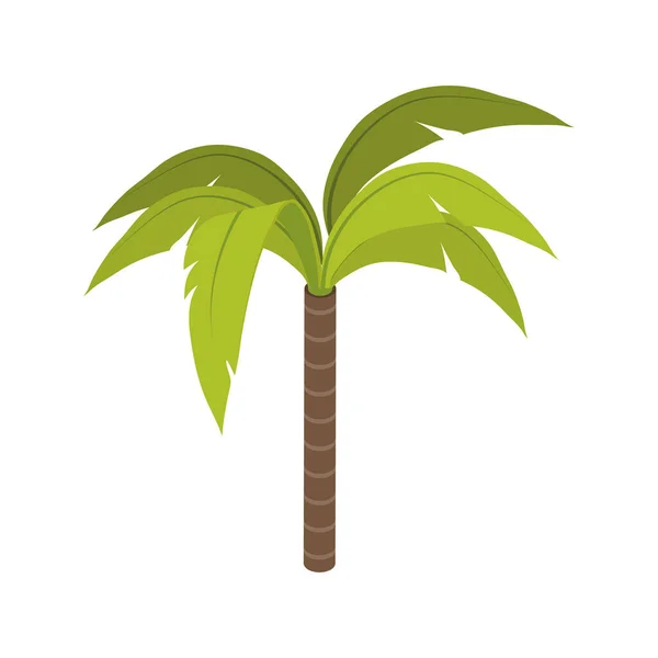 Isometric tree palm — Stock Vector