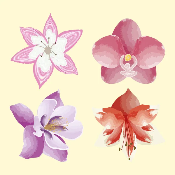 Čtyři exotické květiny ikony — Stockový vektor