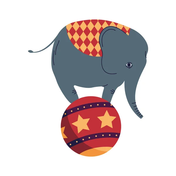 Elefante circense in palla — Vettoriale Stock