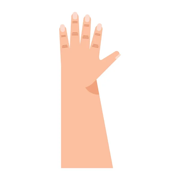 Рука человека открыта — стоковый вектор