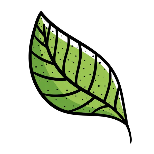 Bladplant natuur — Stockvector