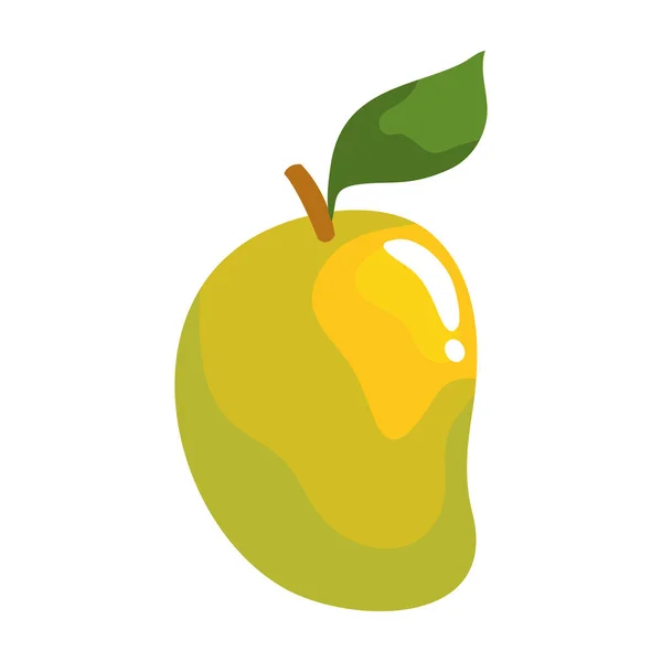 Taze mango meyvesi — Stok Vektör