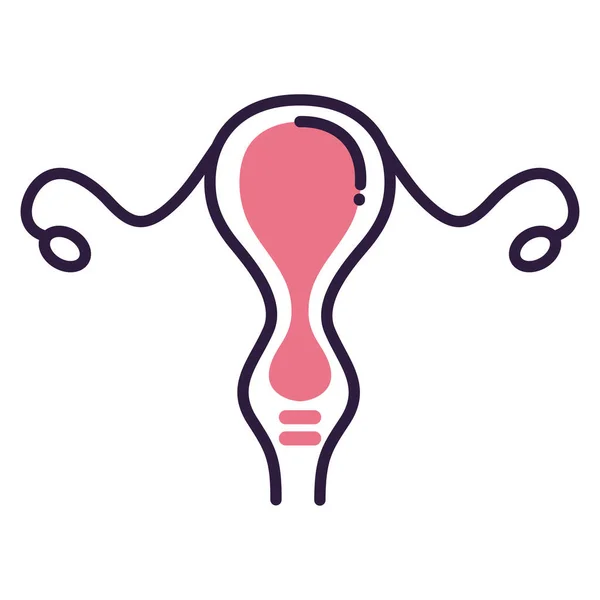 Γυναικείο αναπαραγωγικό όργανο — Διανυσματικό Αρχείο