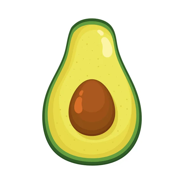 Aguacate con semillas — Vector de stock