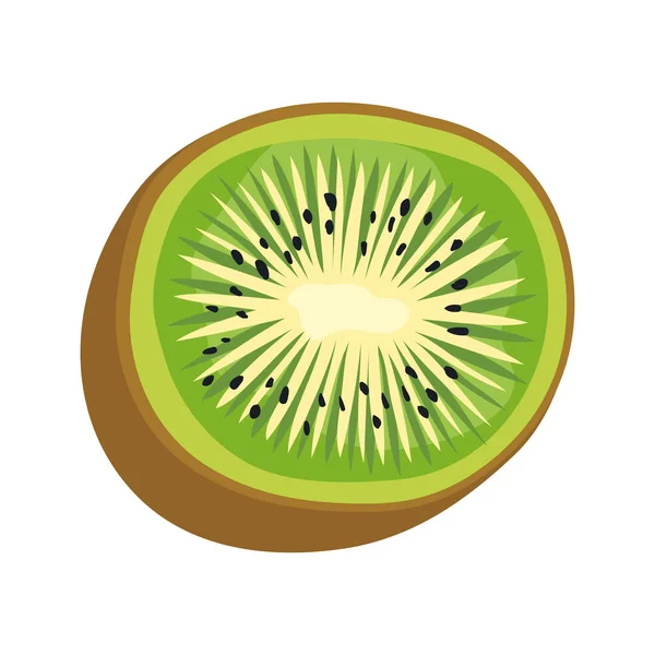 Frutas frescas de kiwi — Vetor de Stock