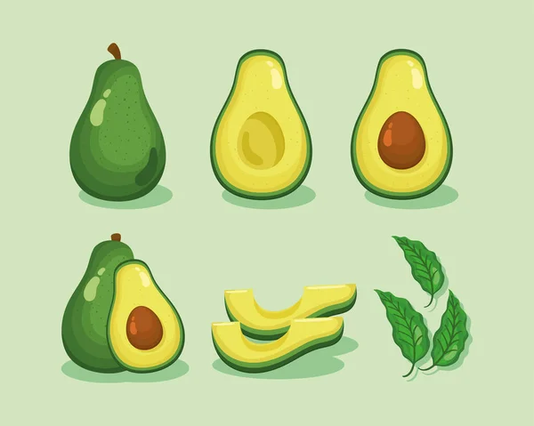 Свіжі іконки овочів авокадо — стоковий вектор