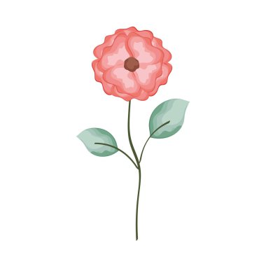 kırmızı suluboya çiçek