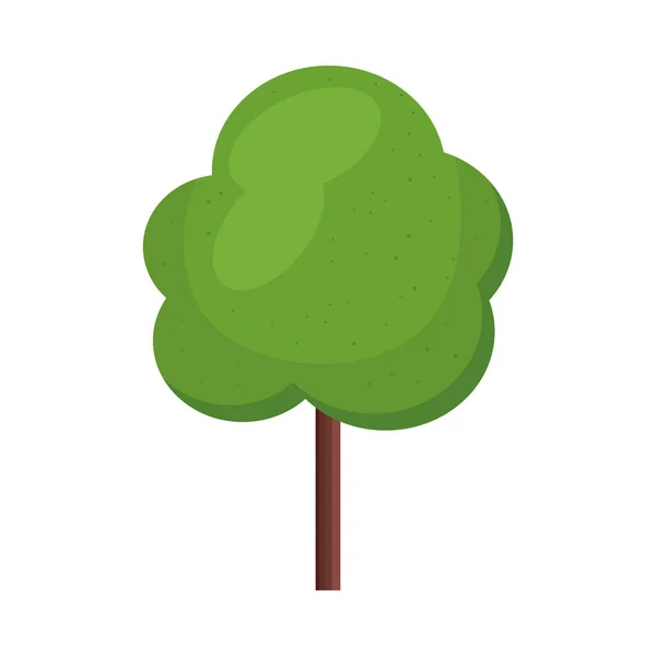 Grön trädväxt — Stock vektor