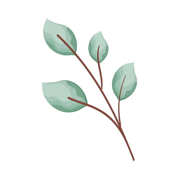 葉の水彩を持つ分枝 — ストックベクタ