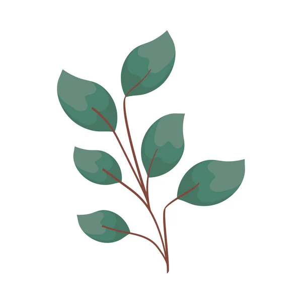 Blätter grüne Aquarellpflanze — Stockvektor