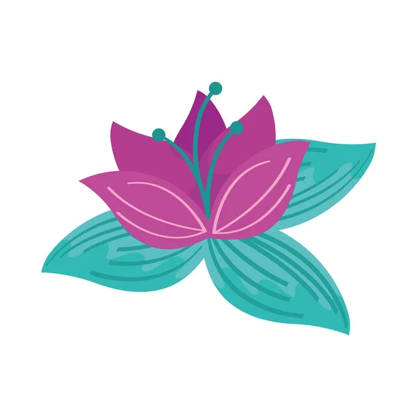 Cute lotus flower — Stock Vector
