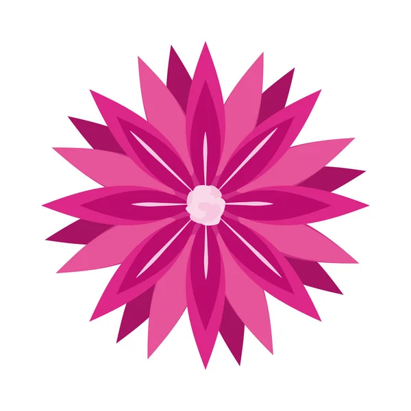 Hermosa flor con pétalos rosados — Vector de stock