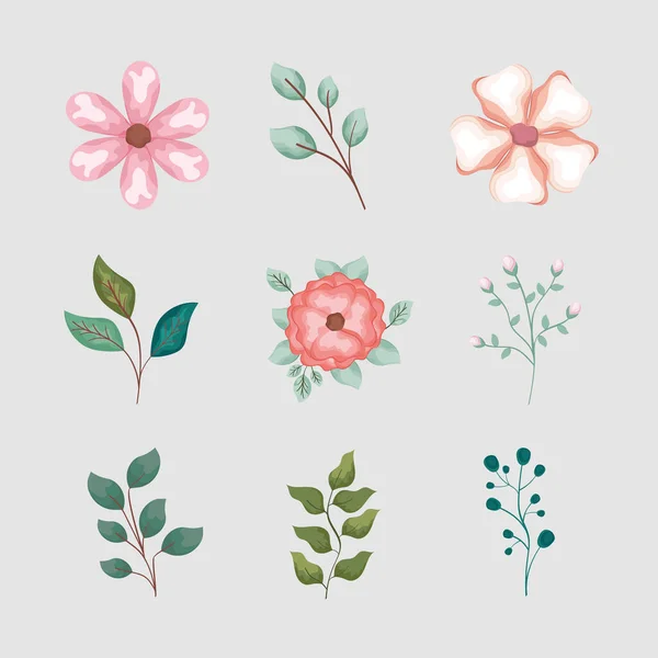 9 çiçek süsleme simgesi — Stok Vektör