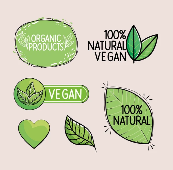 Insignias verdes veganas — Vector de stock