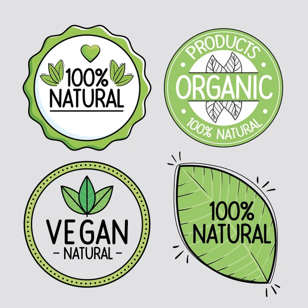 Distintivi vegani e naturali — Vettoriale Stock