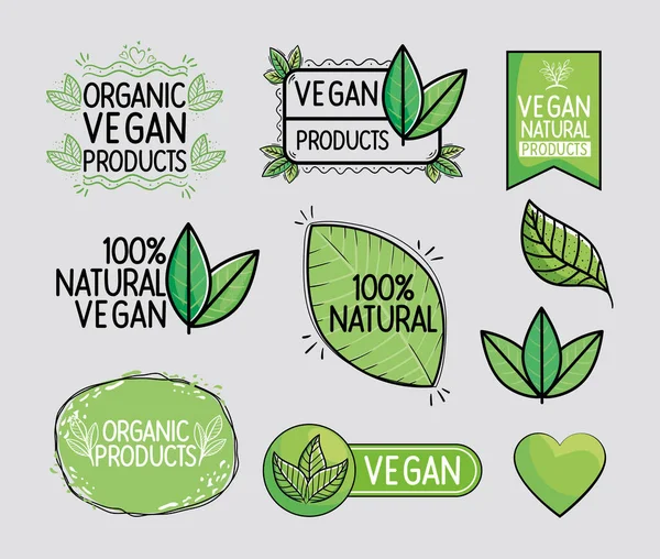Insignias veganas verdes — Vector de stock