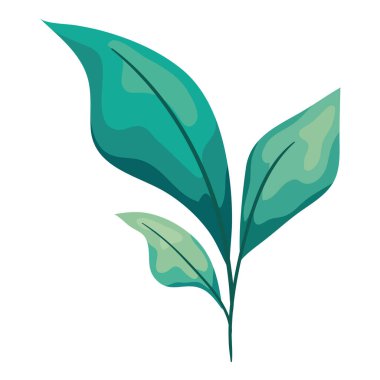 Üç yaprak yeşili dal