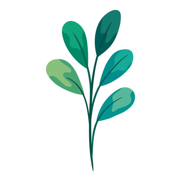 葉を持つ枝茎 — ストックベクタ