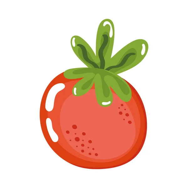 Tomate vegetal fresco — Vetor de Stock
