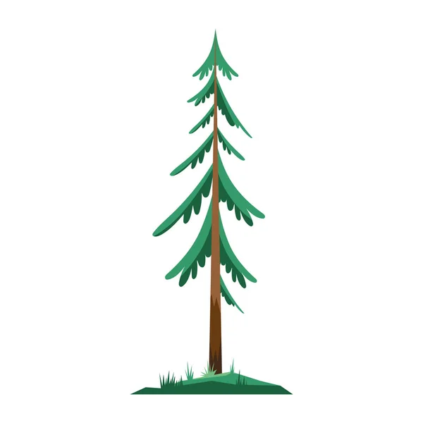 松の木 — ストックベクタ