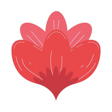 kırmızı sevimli çiçek