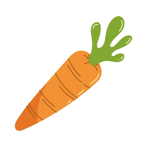 Verdura fresca di carota — Vettoriale Stock