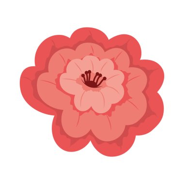 Bahar kırmızı çiçek