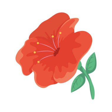 kırmızı çiçek mevsimi