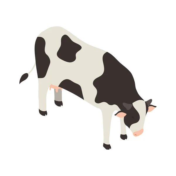 Vaca isométrica animal — Vetor de Stock