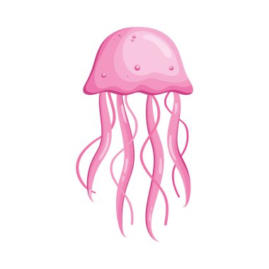 Pembe denizanası deniz yaşamı