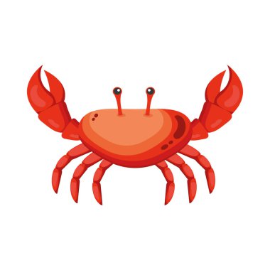 deniz canlısı yengeç