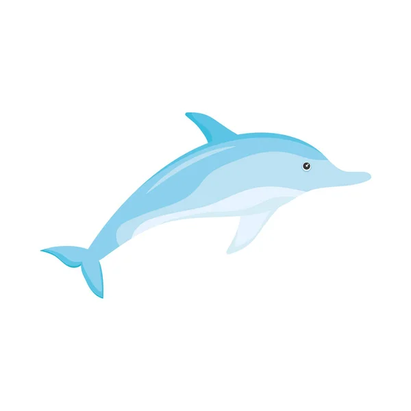 海豚海洋生物 — 图库矢量图片