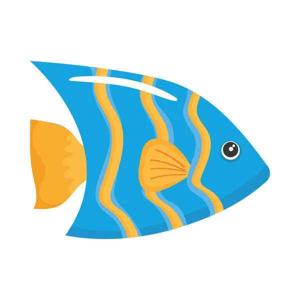 Mavi balık deniz yaşamı — Stok Vektör