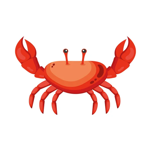 Marine life crab — Stock Vector