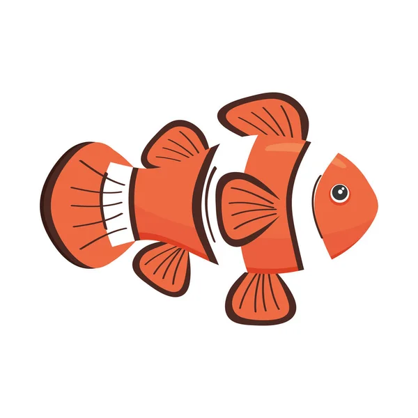 Clown fish marine life — Stock Vector