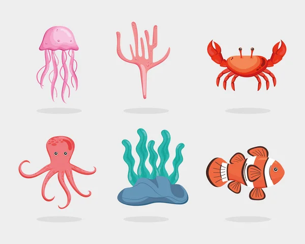 Six marine life icons — Stock Vector