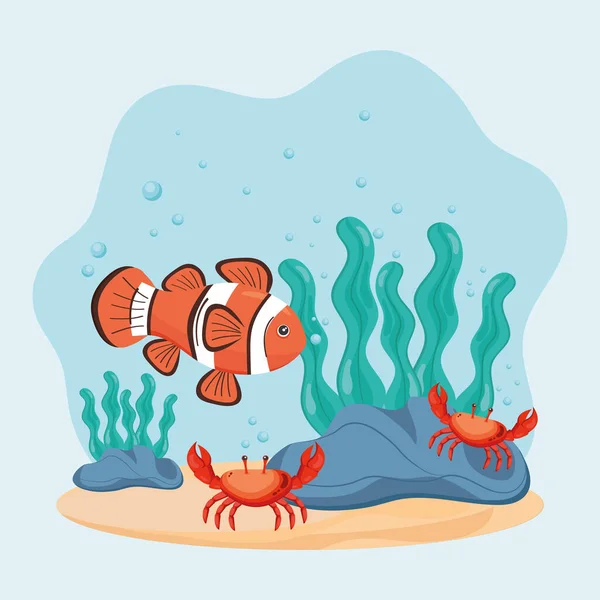 Fish and crabs — Stock Vector