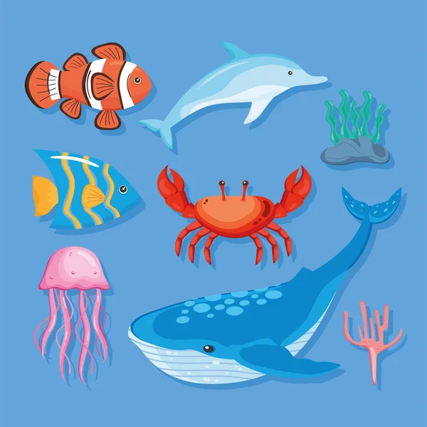 Eight marine life icons — Stock Vector