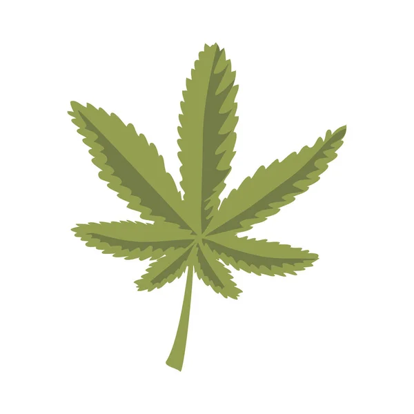 Canabis medicinal folha — Vetor de Stock