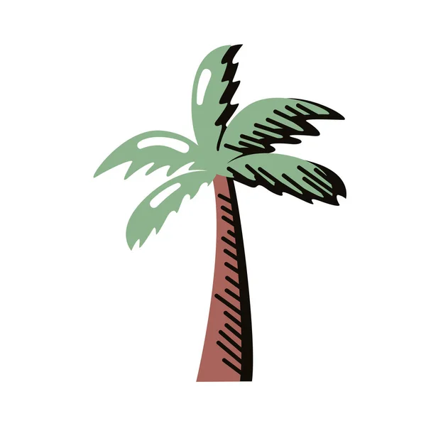 Palmera de árbol tropical — Vector de stock