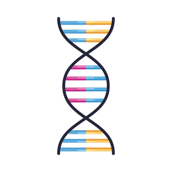 Estructura de ADN molecular — Archivo Imágenes Vectoriales