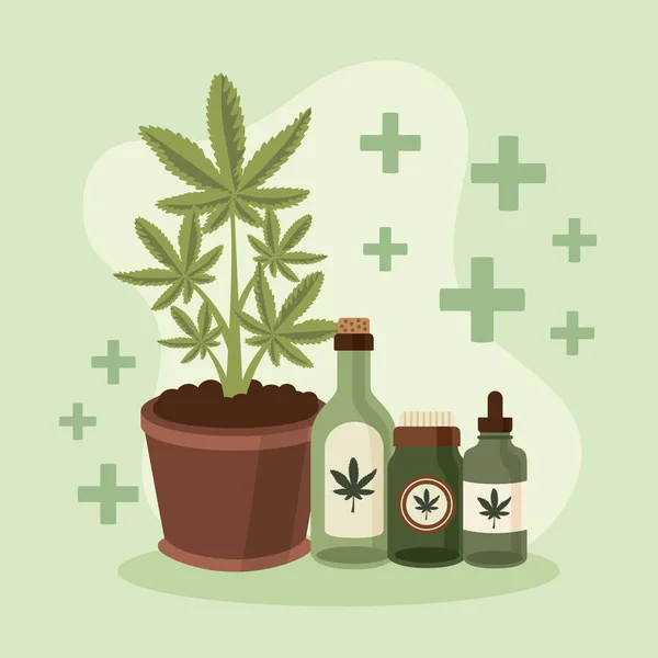 Φαρμακευτικό φυτό και φιάλες κάνναβης — Διανυσματικό Αρχείο