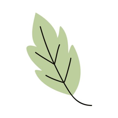 Yaprak bitkisi yaprakları