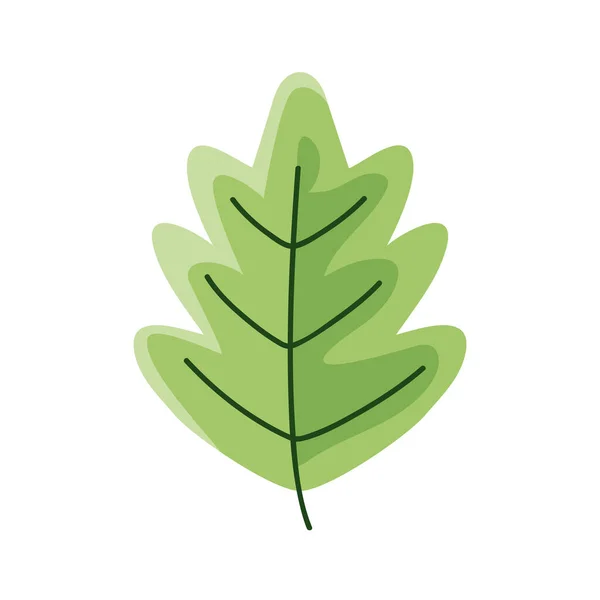 Экологические листья растений — стоковый вектор