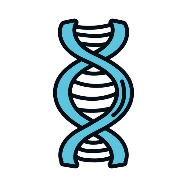 Dna molecuul wetenschap icoon — Stockvector